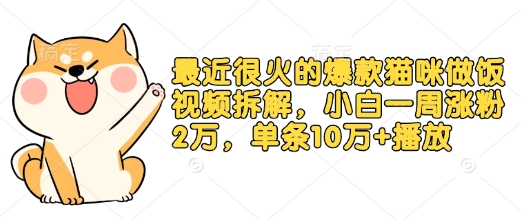 最近很火的爆款猫咪做饭视频拆解，小白一周涨粉2万，单条10万+播放(附保姆级教程)-网创电课网