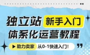 独立站新手入门体系化运营教程，助力独立站卖家从0-1快速入门!-网创电课网