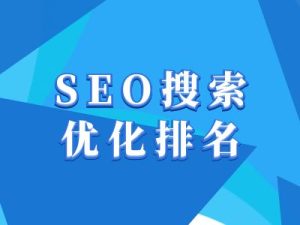 抖音搜索SEO教程，抖音SEO搜索优化排名-网创电课网