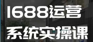 1688高阶运营系统实操课，快速掌握1688店铺运营的核心玩法-网创电课网