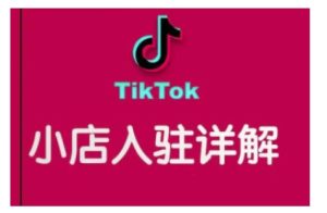 TikTok跨境小店运营全攻略，帮助你独立运营TK跨境小店的能力，实现销量增长-网创电课网