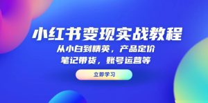 小红书变现实战教程：从小白到精英，产品定价，笔记带货，账号运营等-网创电课网
