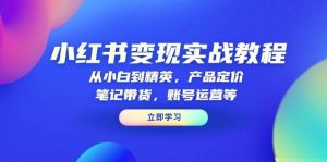 小红书变现实战教程：从小白到精英，产品定价，笔记带货，账号运营等-网创电课网