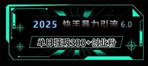 2025年快手6.0保姆级教程震撼来袭，单日狂吸300+精准创业粉-网创电课网