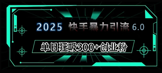 2025年快手6.0保姆级教程震撼来袭,单日狂吸300+精准创业粉-网创电课网