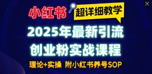 2025年最新小红书引流创业粉实战课程【超详细教学】小白轻松上手，月入1W+，附小红书养号SOP-网创电课网