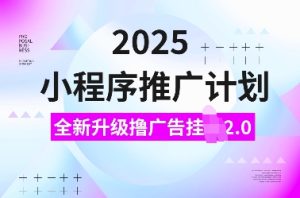 2025小程序推广计划，全新升级撸广告挂JI2.0玩法，日入多张，小白可做-网创电课网
