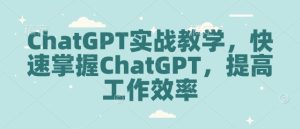 ChatGPT实战教学,快速掌握ChatGPT,提高工作效率-网创电课网