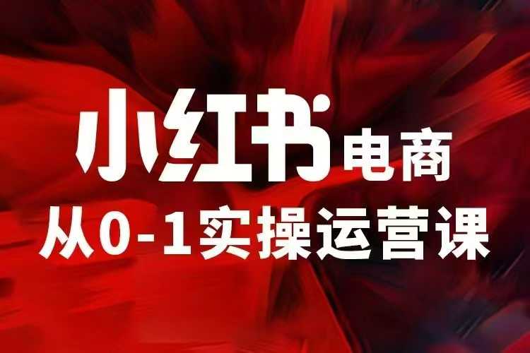 小红书电商运营,97节小红书vip内部课,带你实现小红书赚钱-网创电课网
