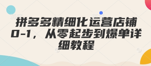 拼多多精细化运营店铺0-1,从零起步到爆单详细教程-网创电课网