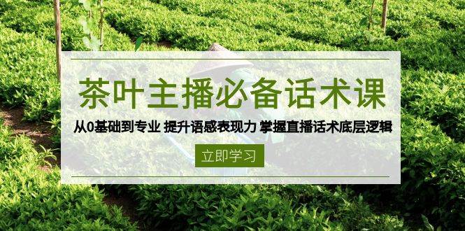 茶叶主播必备话术课 从0基础到专业 提升语感表现力 掌握直播话术底层逻辑-网创电课网
