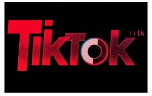 TikTok ads投流秘籍，涵盖tiktok整体投放思路，教你搭建测试计划-网创电课网