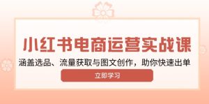 小红书变现运营实战课，涵盖选品、流量获取与图文创作，助你快速出单-网创电课网