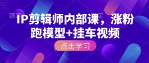 IP剪辑师内部课，涨粉跑模型+挂车视频-网创电课网