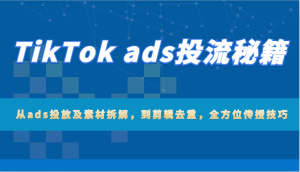 TikTok ads投流秘籍：从ads投放及素材拆解，到剪辑去重，全方位传授技巧-网创电课网