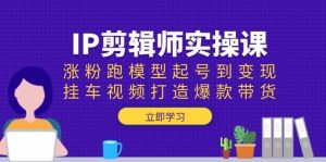 IP剪辑师实操课：涨粉跑模型起号到变现，挂车视频打造爆款带货-网创电课网