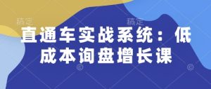 直通车实战系统：低成本询盘增长课，让个人通过技能实现升职加薪，让企业低成本获客，订单源源不断-网创电课网