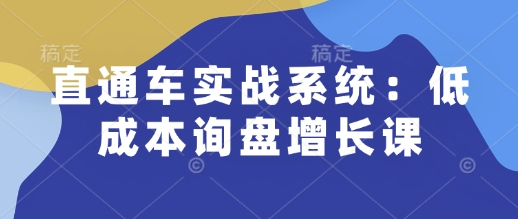 直通车实战系统:低成本询盘增长课,让个人通过技能实现升职加薪,让企业低成本获客,订单源源不断-网创电课网