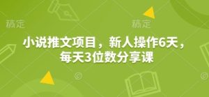 小说推文项目,新人操作6天,每天3位数分享课-网创电课网