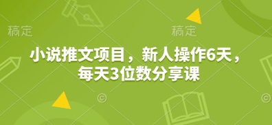 小说推文项目，新人操作6天，每天3位数分享课-网创电课网