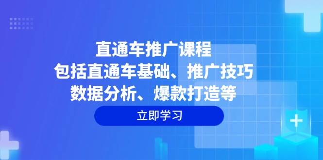 直通车推广课程：包括直通车基础、推广技巧、数据分析、爆款打造等-网创电课网