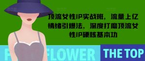 顶流女性IP实战班，流量上亿情绪引爆法，深度打磨顶流女性IP硬核基本功-网创电课网