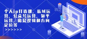 个人ip打造课，私域运营，公众号运营，知乎运营，底层逻辑和方向定位等-网创电课网