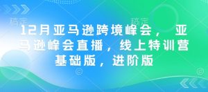 12月亚马逊跨境峰会， 亚马逊峰会直播，线上特训营基础版，进阶版-网创电课网