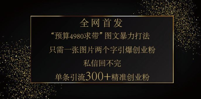 小红书神奇图片引流法，只需一张图，就能单条笔记凭借此方法，轻松引流 300 + 精准创业粉-网创电课网