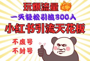 小红书引流天花板,玩爆流量,一天轻松引流300人,安全操作-网创电课网