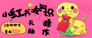 小红书冷知识账号，无脑复制粘贴，5分钟即可变现3张-网创电课网