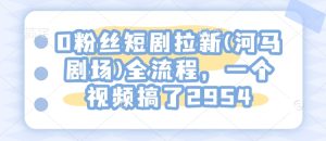 0粉丝短剧拉新(河马剧场)全流程，一个视频搞了2954-网创电课网