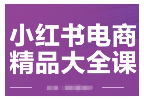 小红书电商精品大全课，快速掌握小红书运营技巧，实现精准引流与爆单目标，轻松玩转小红书电商-网创电课网