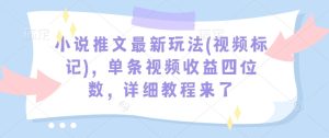小说推文最新玩法(视频标记)，单条视频收益四位数，详细教程来了-网创电课网