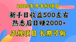 2025开年好项目，单号日收益2000左右-网创电课网