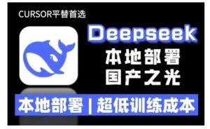 2025年deepseek R1 大型模型本地安装部署(文件+教程)本地部署,超低训练成本-网创电课网