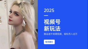 搬运老外奇葩视频,撸视频号分成计划收益,每天只需一小时,新手小白轻松月入过W-网创电课网