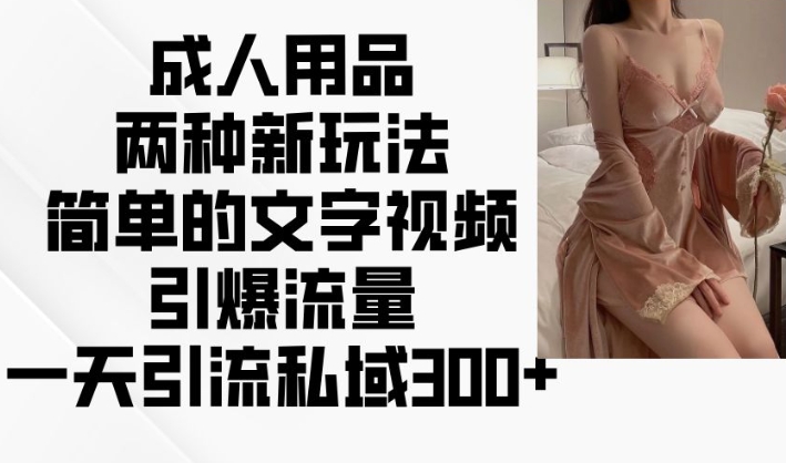 成人用品两种新玩法，简单的文字视频引爆流量，一天引流私域300+-网创电课网