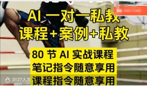 AI指令实战课,课程+案例,80节AI实战课程,笔记指令随意享用,课程指令随意享用-网创电课网