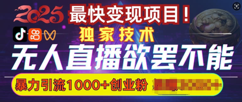 欲罢不能的无人直播引流,超暴力日引流1000+高质量精准创业粉-网创电课网