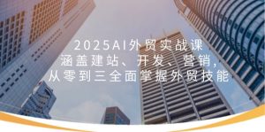 2025AI外贸实战课：涵盖建站、开发、营销, 从零到三全面掌握外贸技能-网创电课网