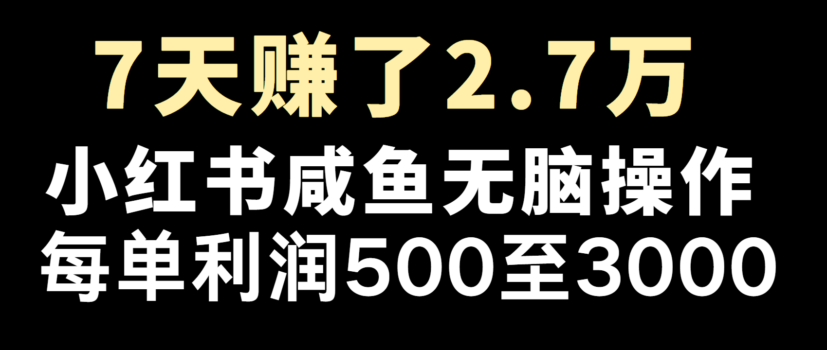 全网首发，7天赚了2.6万，2025利润超级高！-网创电课网