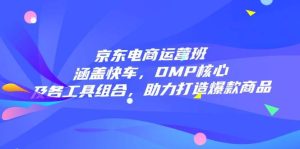 京东电商运营班:涵盖快车,DMP核心及各工具组合,助力打造爆款商品-网创电课网
